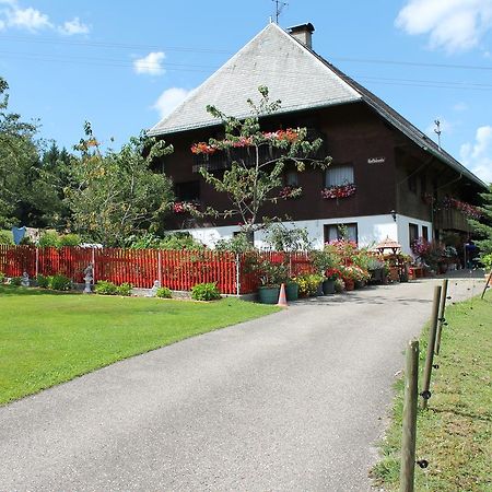Ferienwohnung Schwarzwaldhof Титизее-Нойштадт Экстерьер фото