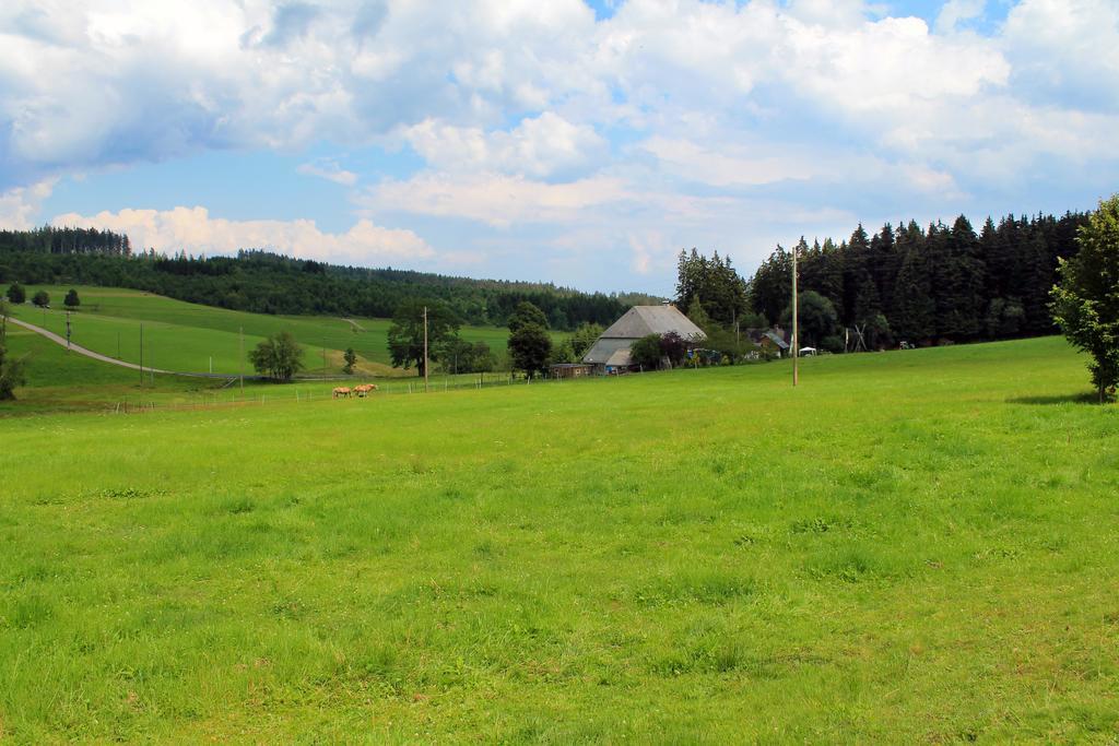 Ferienwohnung Schwarzwaldhof Титизее-Нойштадт Экстерьер фото