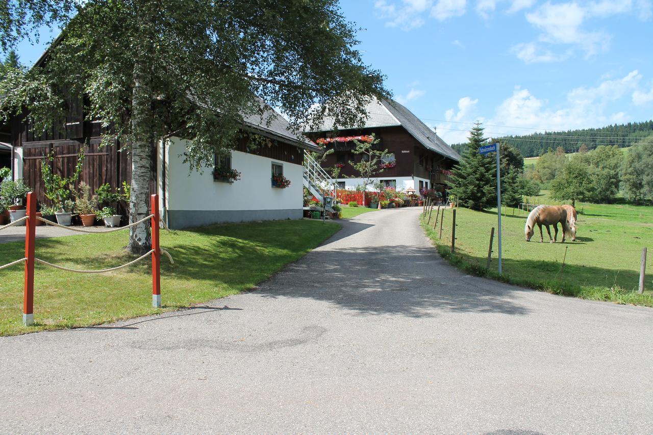 Ferienwohnung Schwarzwaldhof Титизее-Нойштадт Экстерьер фото