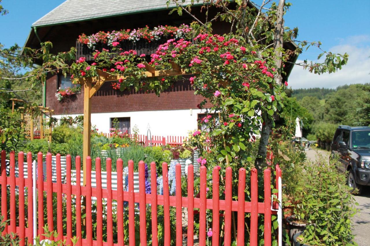 Ferienwohnung Schwarzwaldhof Титизее-Нойштадт Экстерьер фото